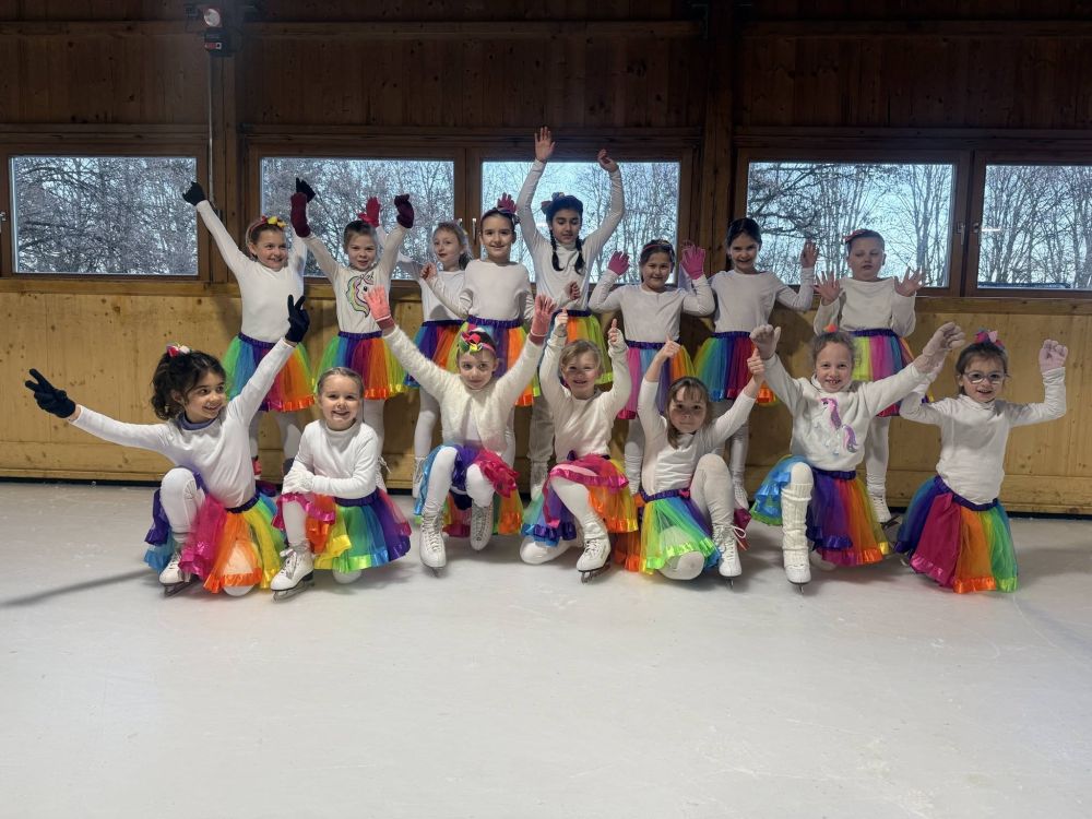 Eiskunstlauf beim TV